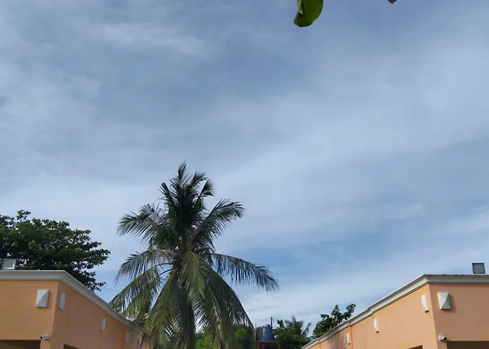 Crisols Malapascua Island Hotel Daanbantayan